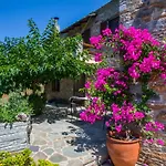 Iris' Traditional Stone House Appartamento *