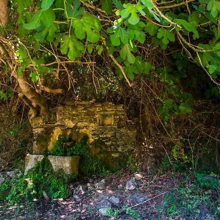 Iris' Traditional Stone House Zarakes